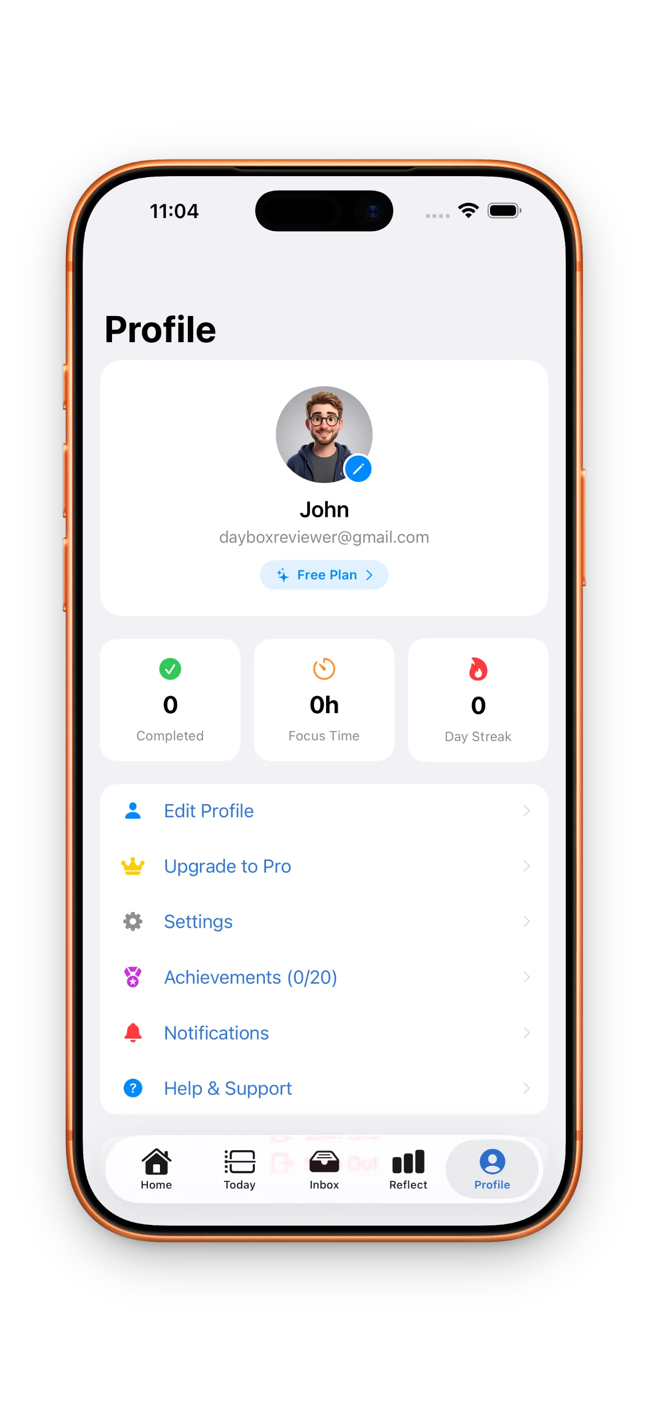 DayBox profile and customization settings showing theme and accent color options