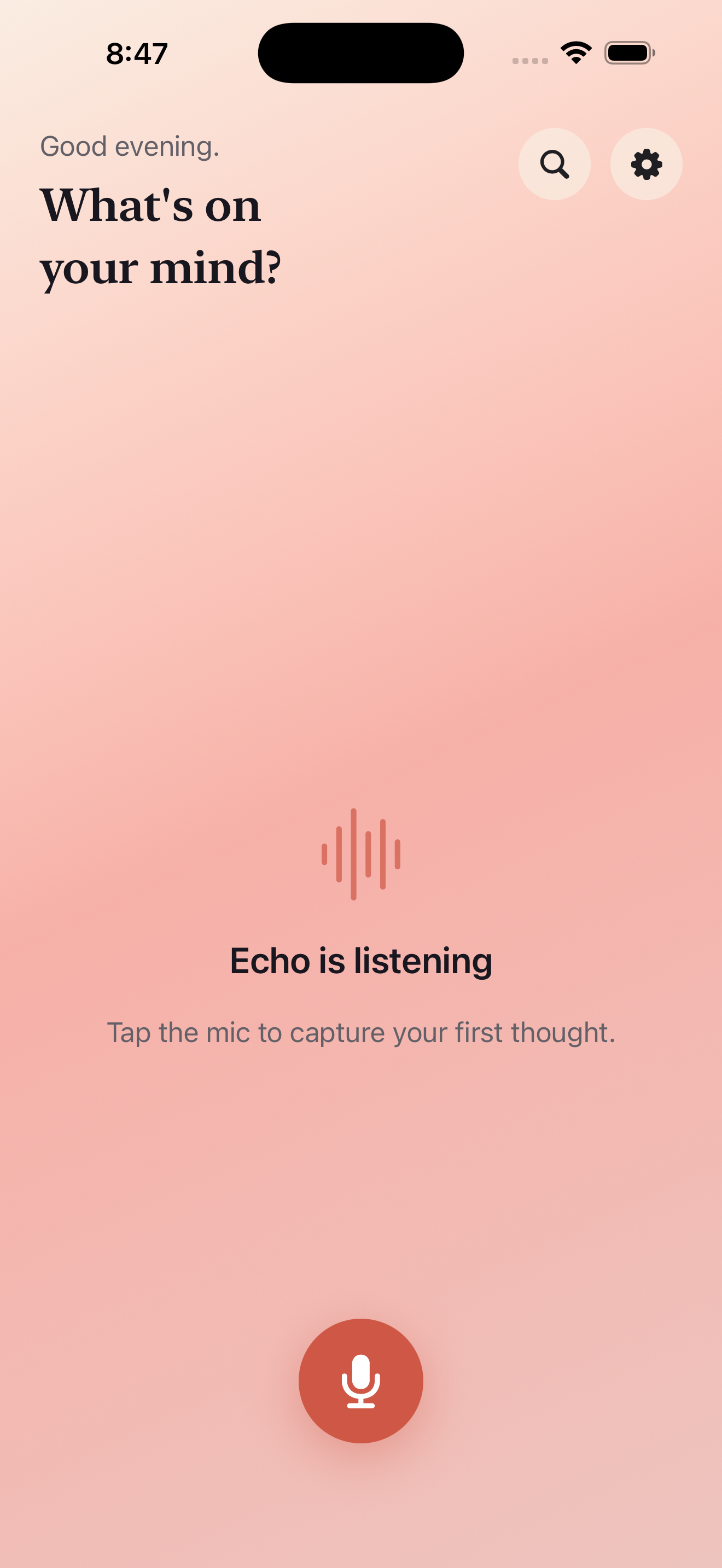 Echo on iPhone
