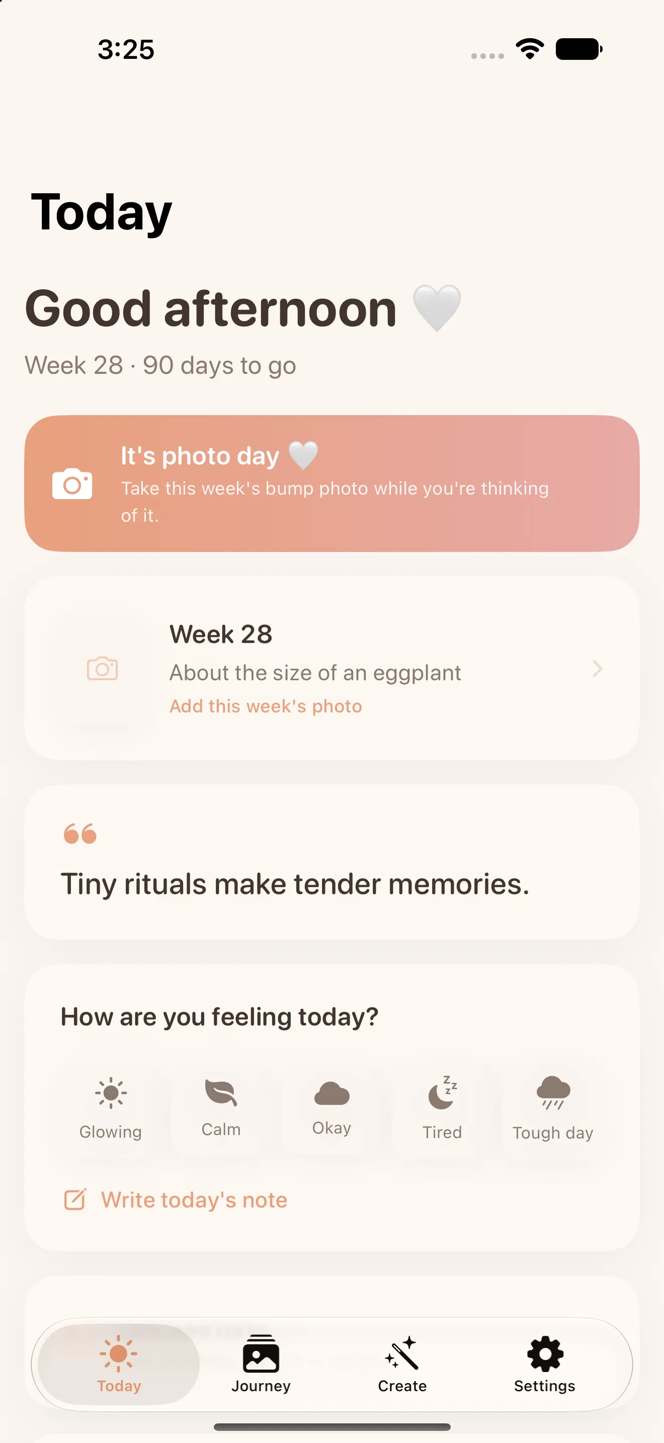 Little Lapse — week-by-week journey with size milestones
