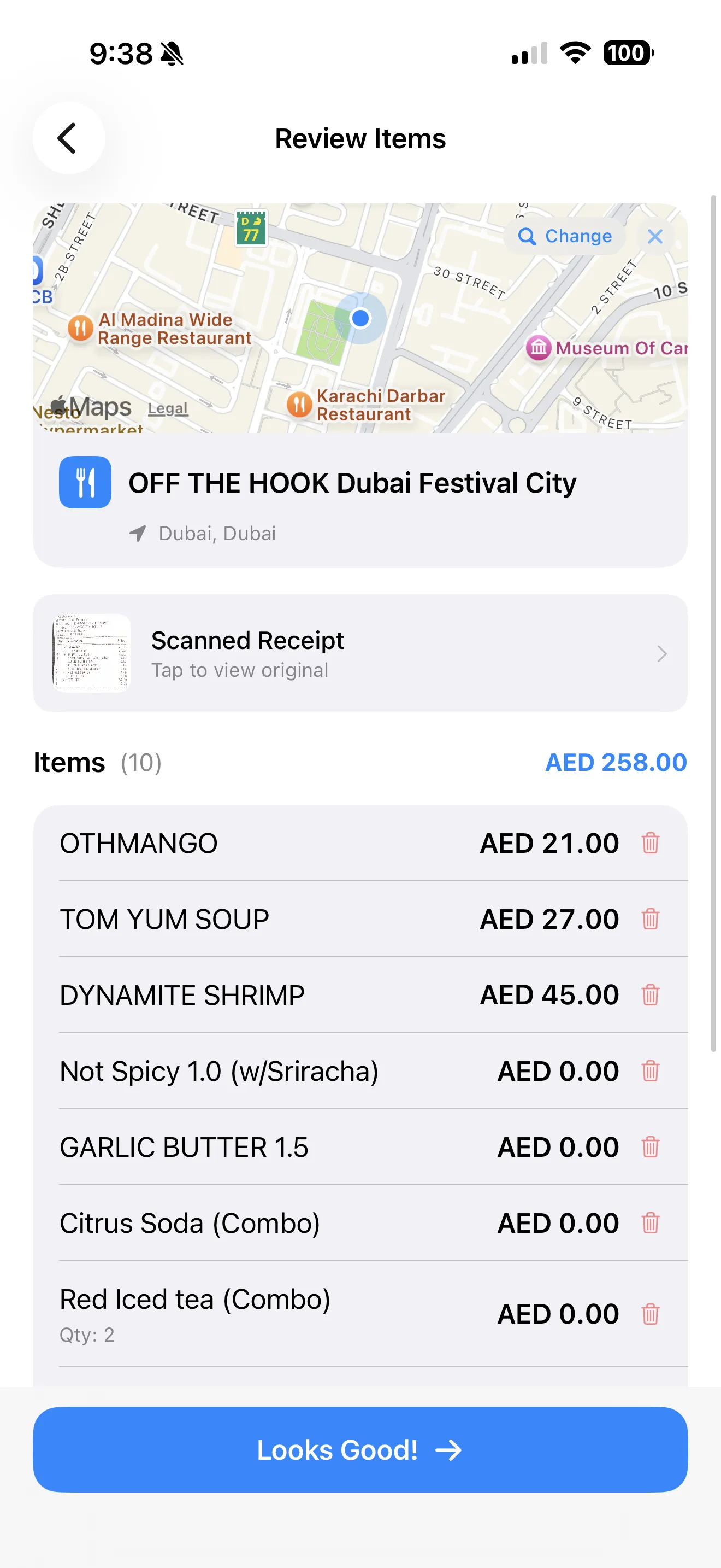 SplitSnap item review — verify AI-extracted items before splitting