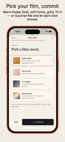 Rolla film look preview